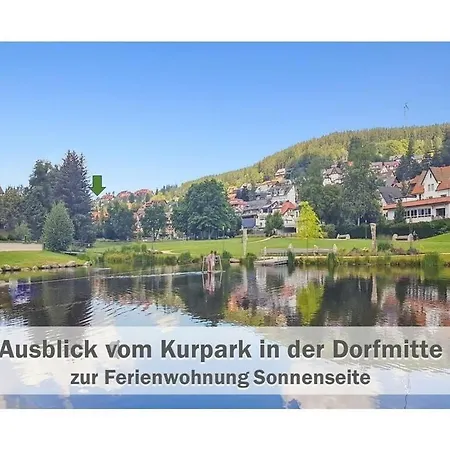 Διαμέρισμα Sunny Side Of Schonach Schonach im Schwarzwald