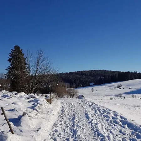 Sunny Side Of Schonach Διαμέρισμα *