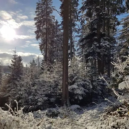 Διαμέρισμα Sunny Side Of Schonach Schonach im Schwarzwald